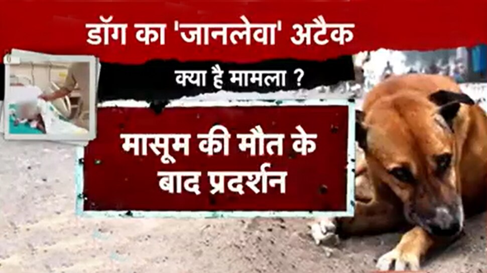 Noida Dog Attack Dogs attack on child and pull out intestines in Noida