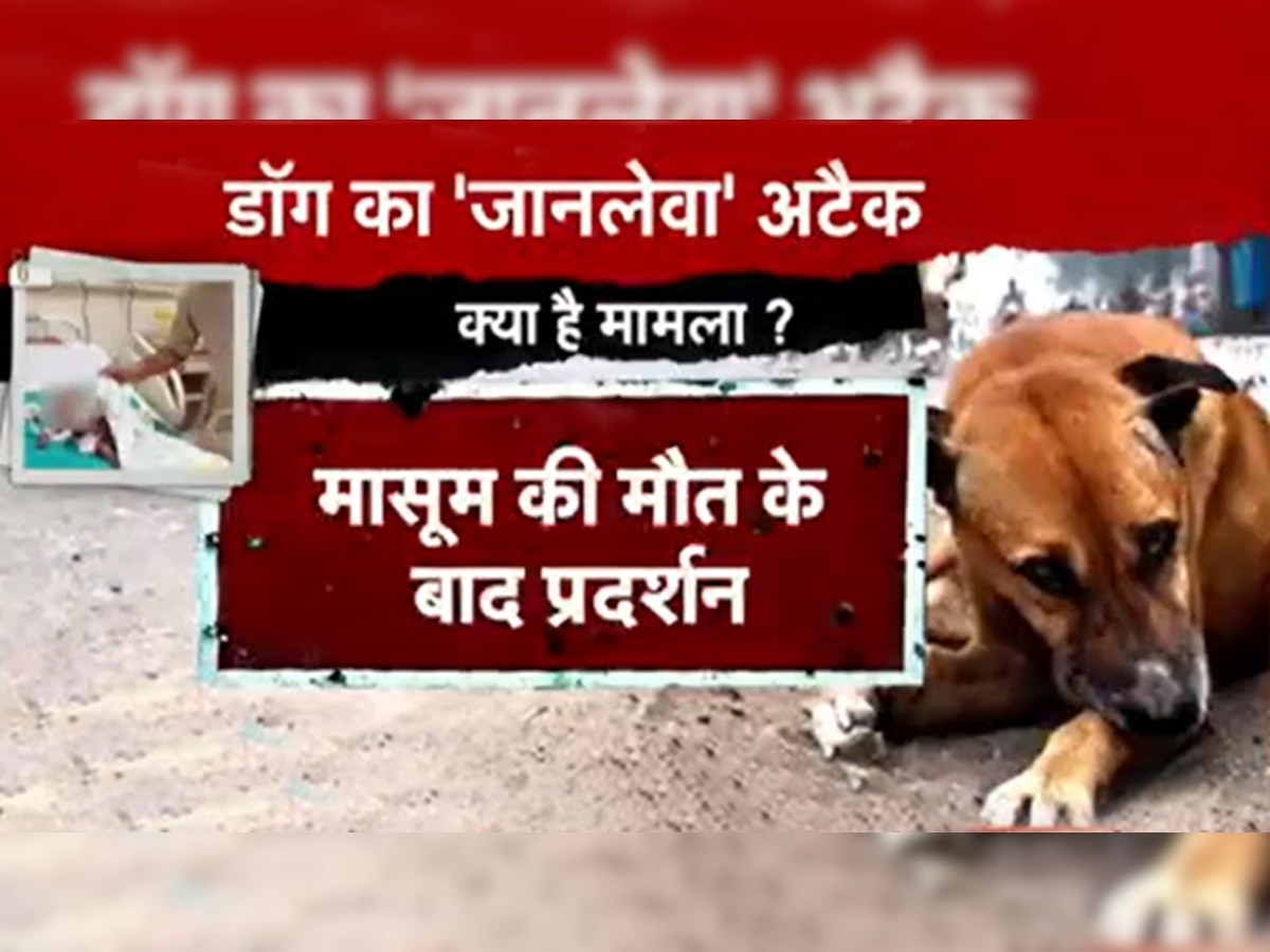 Noida Dog Attack: नोएडा की हाईराइज सोसाइटी में कुत्तों का आतंक, डेढ़ साल के मासूम की ले ली जान
