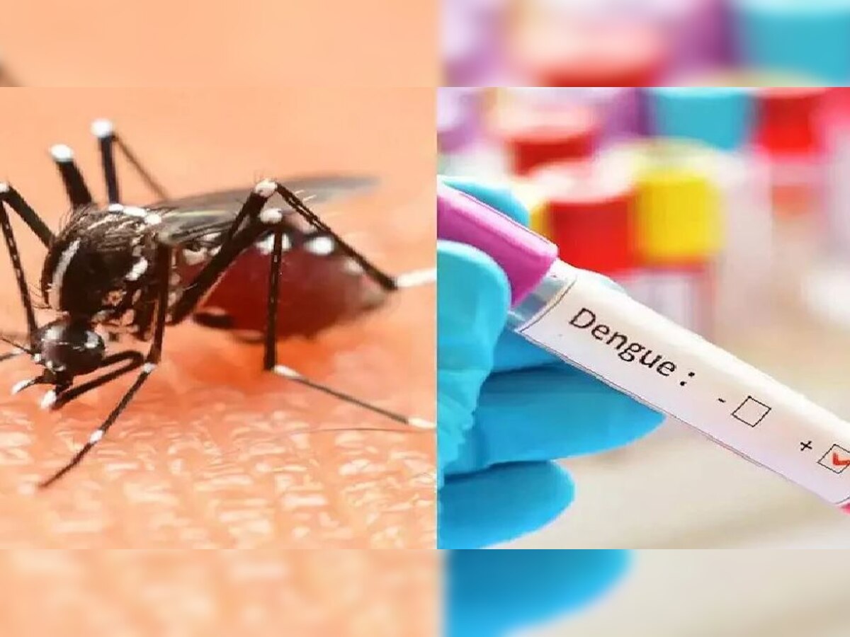 बिहार-झारखंड में डेंगू का कहर, इन तरीकों को अपना कर आप खुद भी कर सकते हैं अपना बचाव