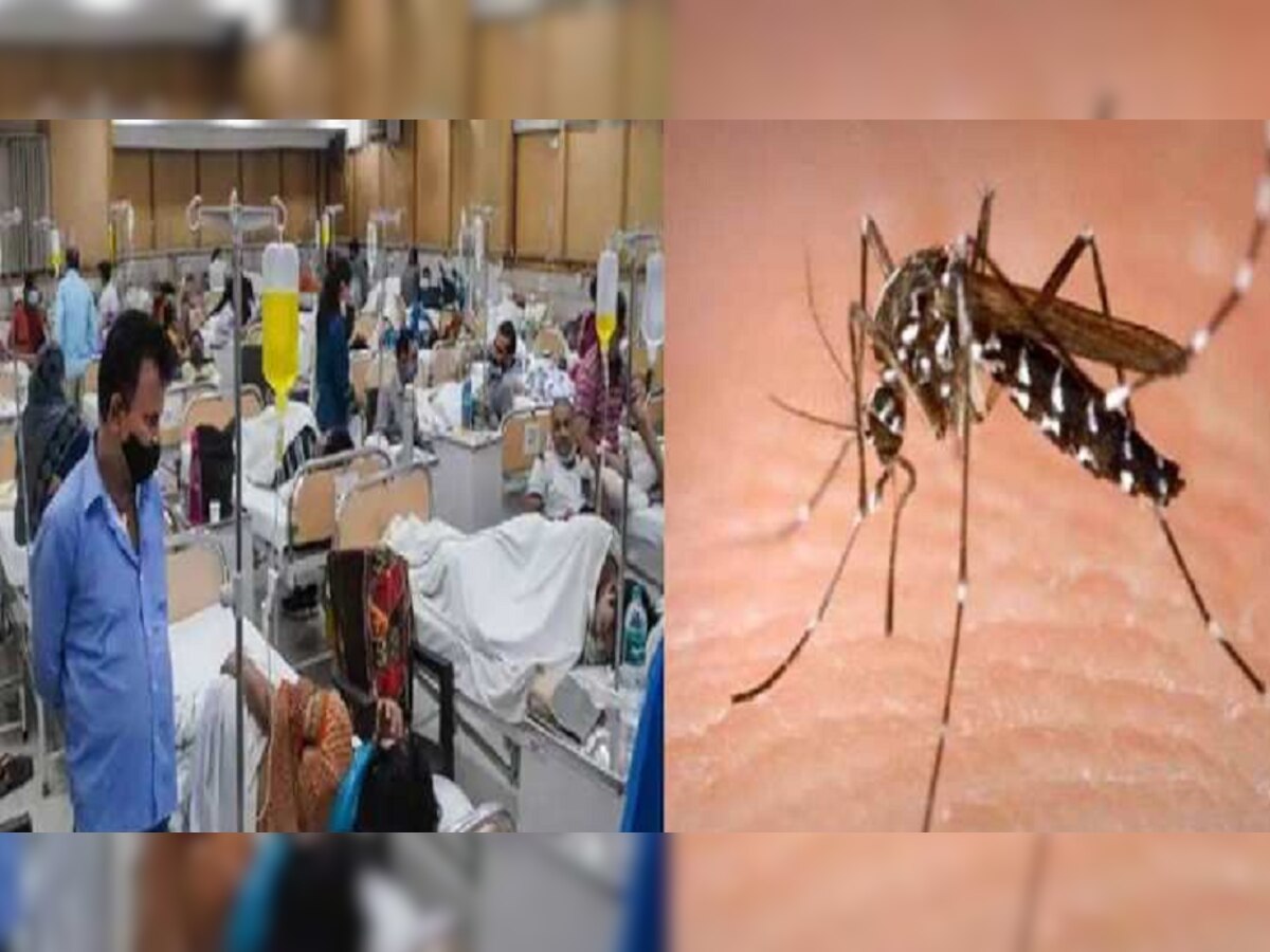 Dengue In Bihar: पटना में नहीं थम रहा डेंगू का प्रकोप, गांव से ज्यादा शहरों में बना आफत
