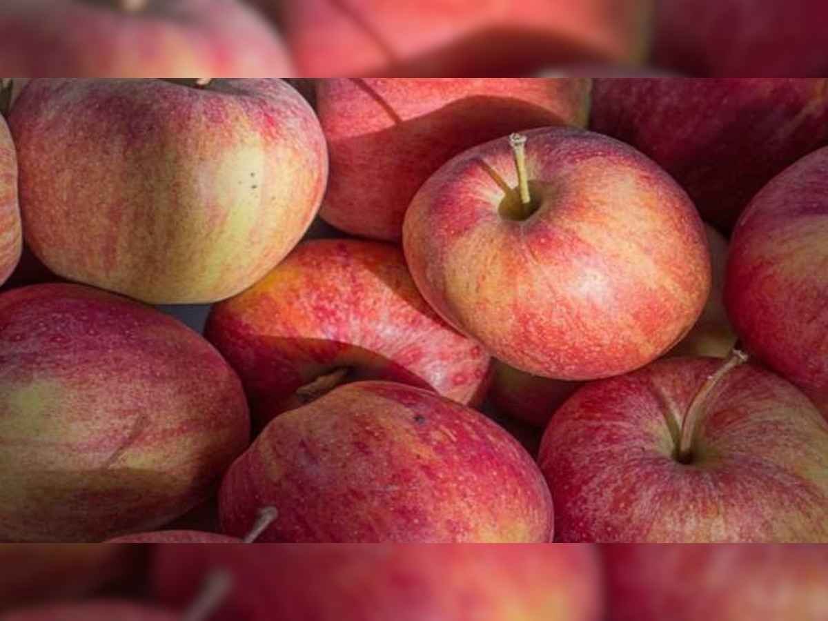 पते की खबर: बड़े काम का होता है सेब, सेहत को मिलते हैं जबरदस्त फायदे