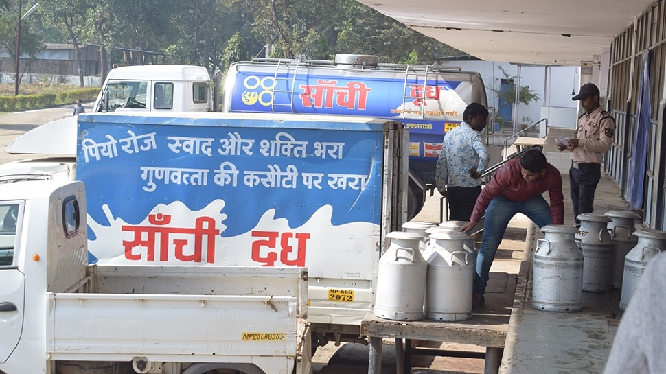 Sanchi Dairy hike gold variant milk price rs 2 per liter after amul