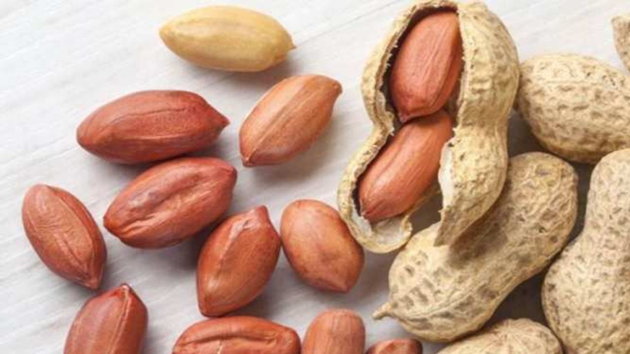 tremendous benefits of eating peanuts milk and eggs mungfali aur badam