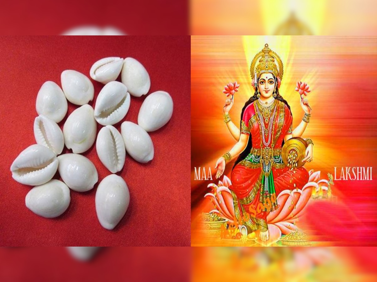 Kaudi Remedies: दिवाली पर धन-दौलत में बढ़ोतरी के लिए करें कौड़ी के उपाय, बढ़ जाएगी आमदनी