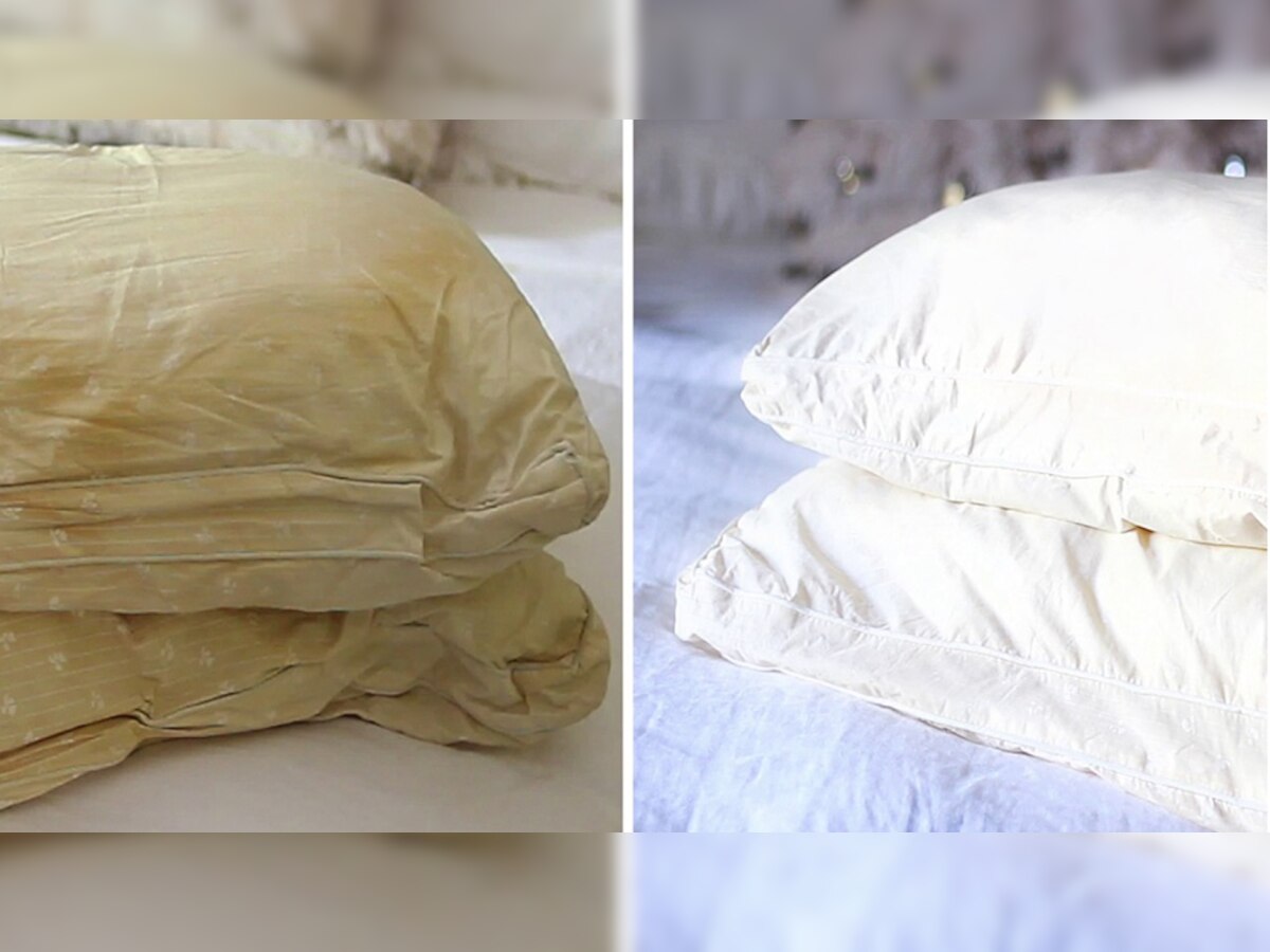 Pillow Cleaning: गंदे हो चुके तकिए को बिना धोए चुटकियों में करें साफ, बदबू और कीटाणु भी होंगे दूर