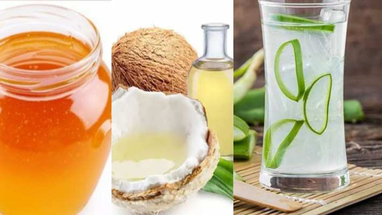 Mouth Ulcer In this way you will get relief from mouth ulcers Coconut