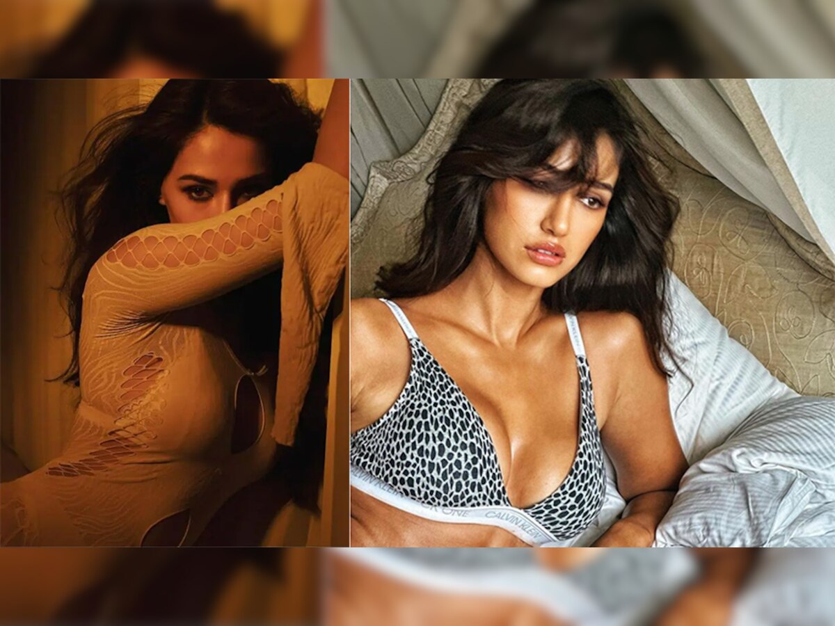 Disha Patani New Hot Pic:  दिशा पाटनी ने हॉट फोटो से दीवाली पर किया धमाका, लोगों ने लगा दी प्यार की झड़ी