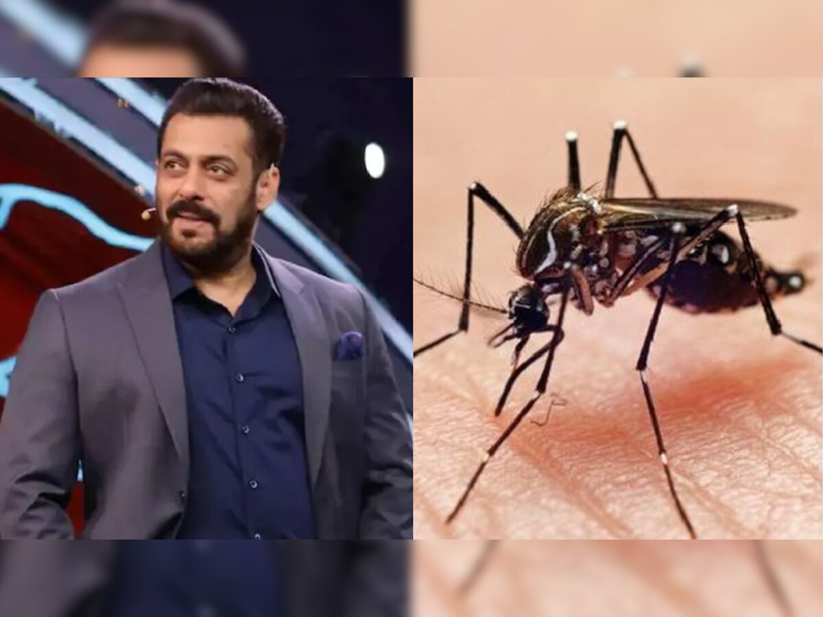 Bigg Boss के होस्ट Salman khan को हुआ डेंगू, जानें इससे बचने का अचूक उपाय