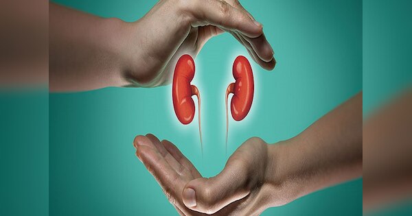 Kidneys six Foods To Help Reduce Risk Of Chronic Kidney Disease
