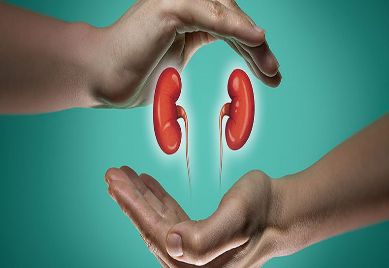 Kidney Help Kidneys six Foods To Help Reduce Risk Of Chronic Kidney Disease