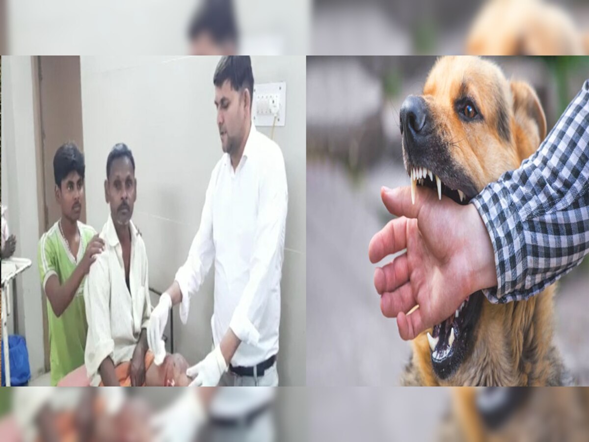 राजस्थान में आए दिन बढ़ रहे डॉग अटैक के मामले, बांसवाड़ा के घाटोल में सो रहे शख्स पर कुत्ते ने किया खातक हमला 