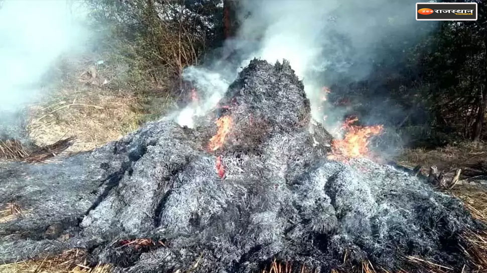 Bilara: खेत में रखा दो दर्जन ट्रॉली चारा जलकर हुआ राख, बिजली का तार नीचे गिरने से लगी आग