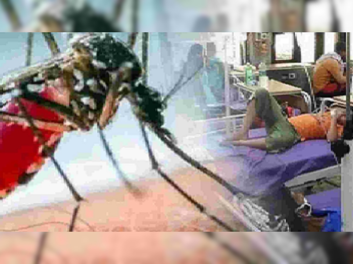 Dengue In Patna : पटना में 49 सौ के पार पहुंचा डेंगू का डंक, जानें 24 घंटे में कितने मरीज हुए भर्ती
