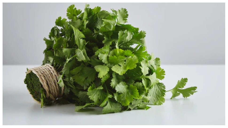 Boiled Coriander leaves Water health Benefits Coriander Water सुबह