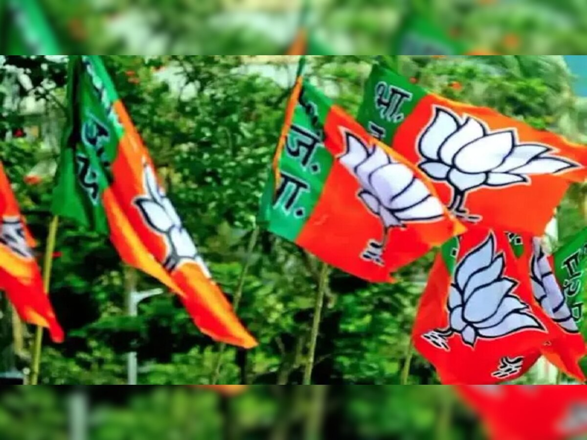 Himachal Election: हिमाचल चुनाव में बढ़ेगी सरगर्मी, उत्तराखंड बीजेपी के दिग्गज नेता करेंगे प्रचार, लिस्ट हुई जारी