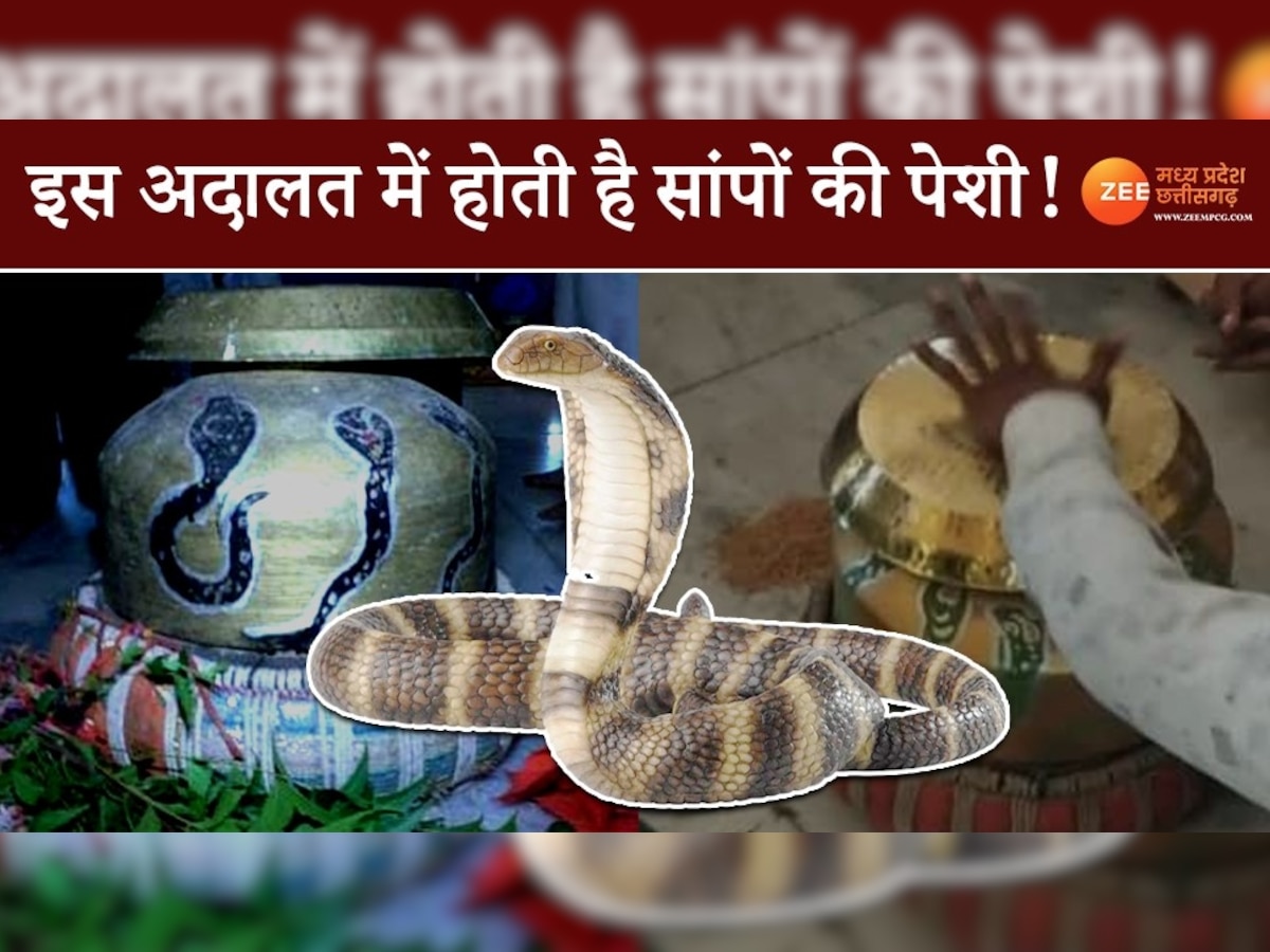 MP Snake Court: मध्य प्रदेश में यहां लगती है नागराज की अदालत! पेशी में आती हैं सांपों की आत्मा
