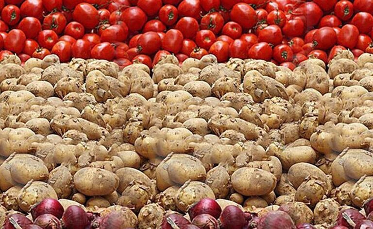 Vegetable Price Hike: आने वाले वक्त में महंगी हो सकती है सब्जियां, बढ़ सकते हैं आलू-टमाटर के दाम