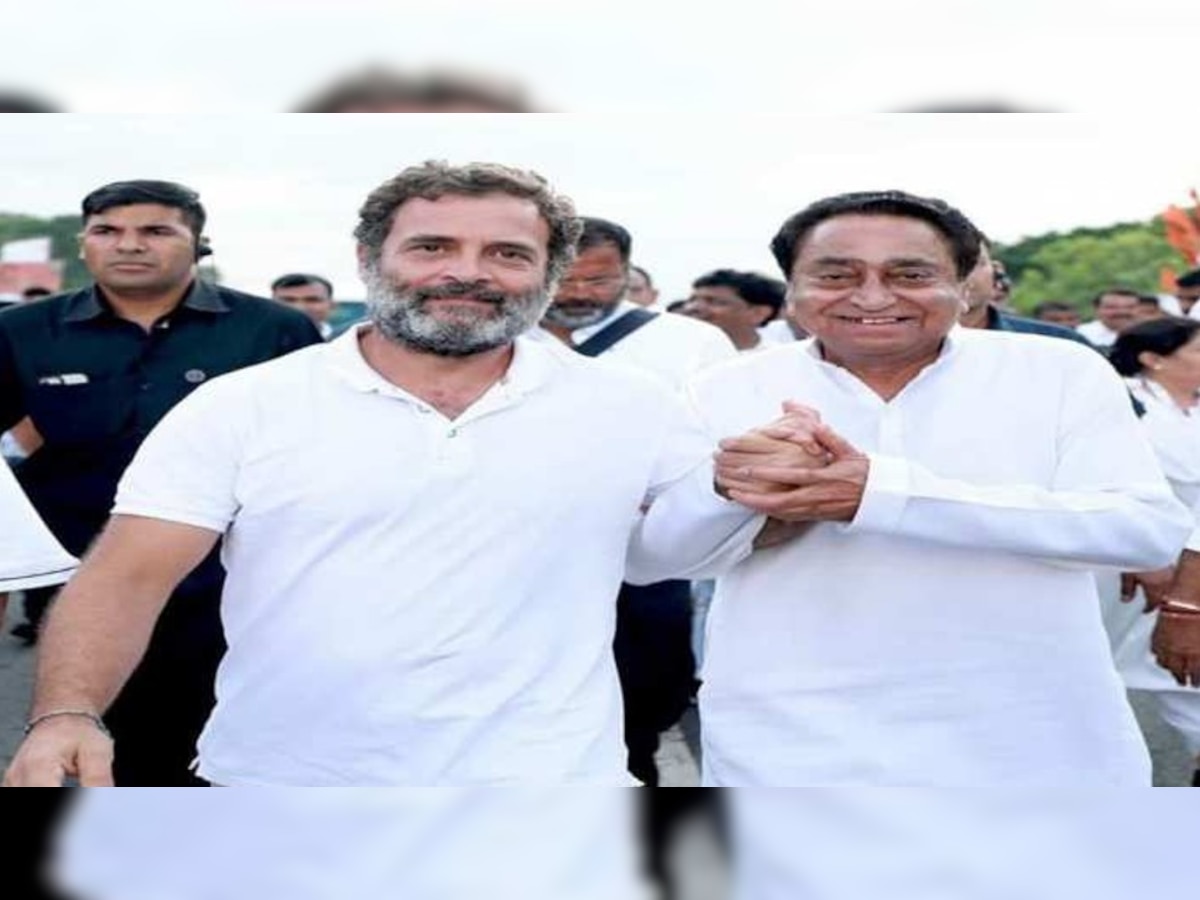 राहुल गांधी की भारत जोड़ो यात्रा के लिए BJP का प्लान, कांग्रेस को बड़ा झटका देने की तैयारी 
