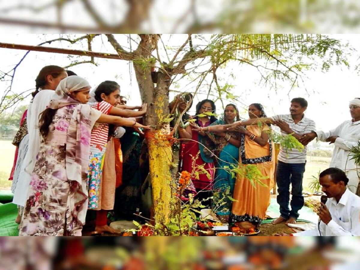 Amla Navami Date 2022: अक्षय नवमी के दिन आंवला के पेड़ के नीचे करें ये काम, होगी महापुण्य की प्राप्ति