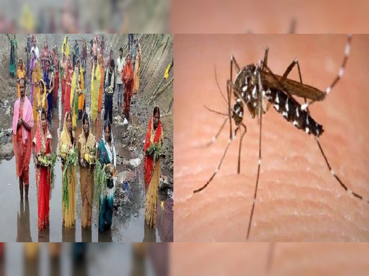 Dengue in Patna : घाटों पर छठव्रतियों को डेंगू का सता रहा डर, पटना में आंकड़ा पहुंचा 53 सौ पार