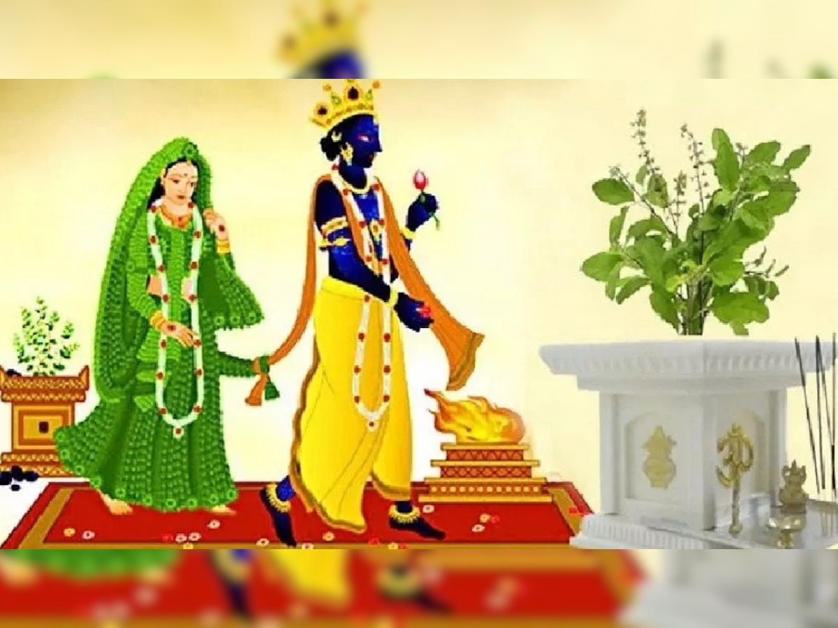 Tulsi Vivah Puja Method Know importance of Tulsi marriage kese ...
