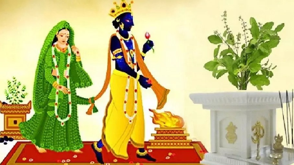 Tulsi Vivah Puja Method Know importance of Tulsi marriage kese ...