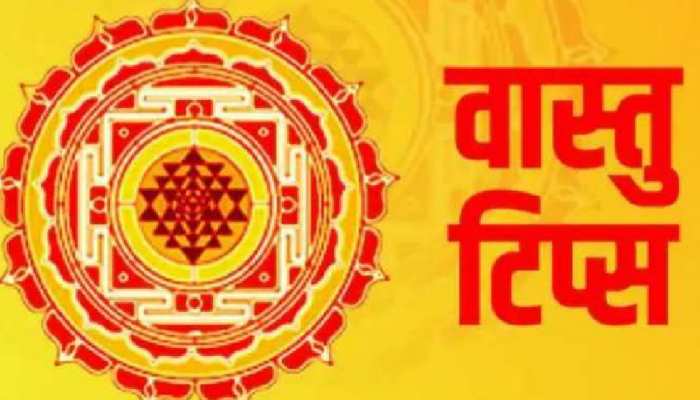 Vastu Dosh: पानी में ये चीजें मिलाकर लगाएं पोछा, घर में कभी नहीं रहेगी निगेटिविटी