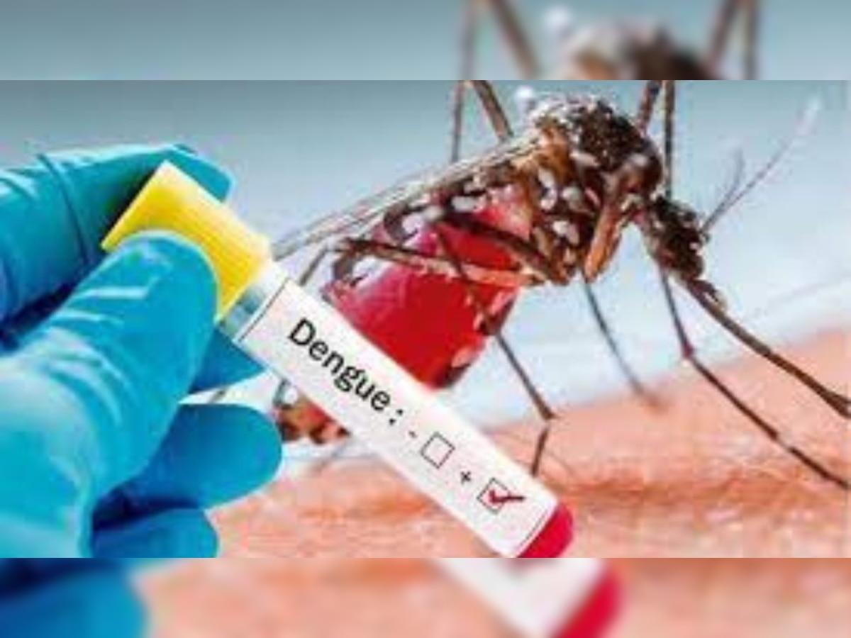 Dengue Cases in MP : मध्य प्रदेश में डेंगू का कहर, यहां पढ़िए इसके लक्षण, बचाव और इलाज से जुड़ी हर बात