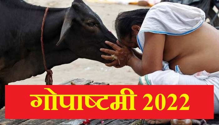 Gopashtami 2022: गोपाष्टमी का त्योहार आज, जानें क्यों की जाती है इस दिन गौ माता की पूजा