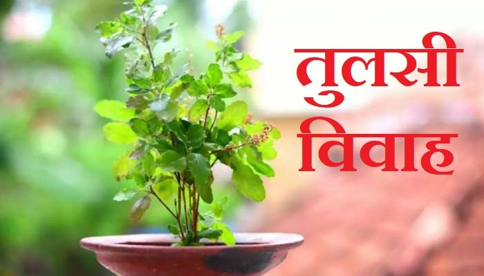 Tulsi Vivah 2022: कब है तुलसी विवाह? जानें एकादशी तिथि का सही समय