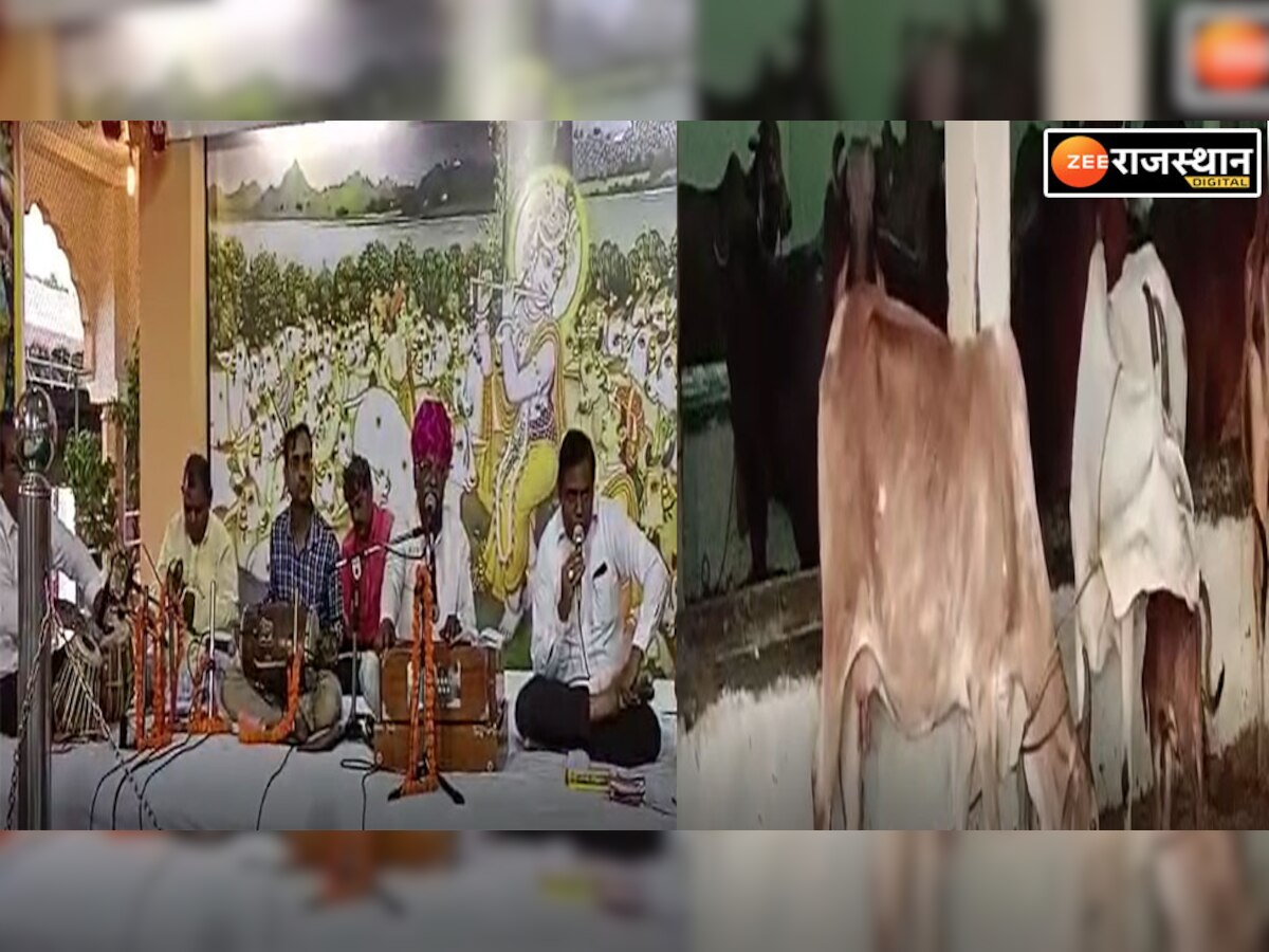 Bagru News : श्री रामदेव गौशाला में उमड़ा श्रद्धा का सैलाब, गोपाष्टमी-अन्नकूट महोत्सव आयोजित