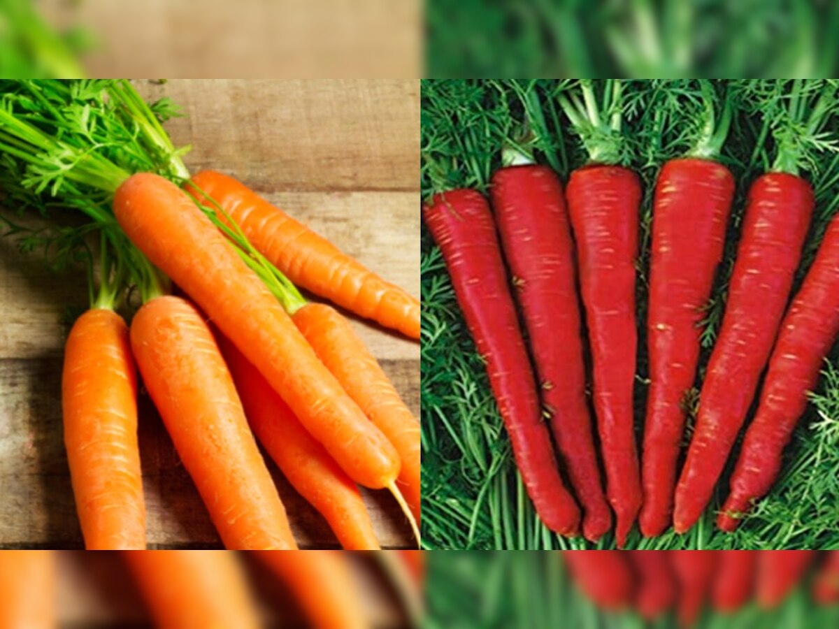 गाजर खाने के फायदे 