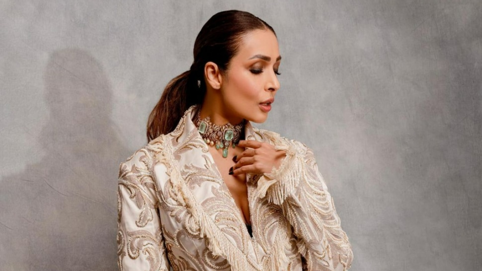 Malaika Arora Photos: फैंस को सरप्राइज देने के लिए मलाइका ने क्लिक करा ली ऐसी तस्वीरें, हो रही हैं खूब वायरल