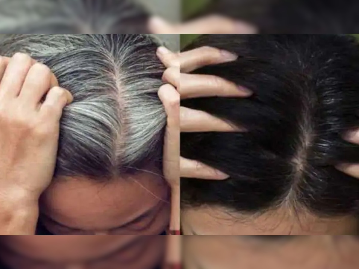 Hair Care Tips: बिना साइड इफेक्ट्स के बालों को ऐसे बनाएं घने काले, बड़े काम का है ये घरेलू नुस्खा; एक बार जरूर आजमाएं  