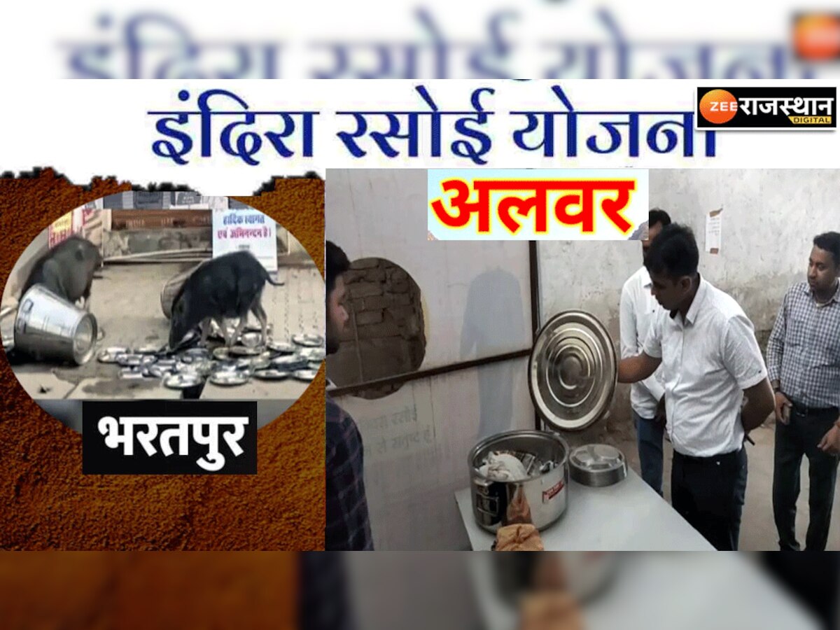 भरतपुर में सूअर प्रकरण के बाद अलवर में सतर्क प्रशासन, इंदिरा रसोई का किया औचक निरक्षण