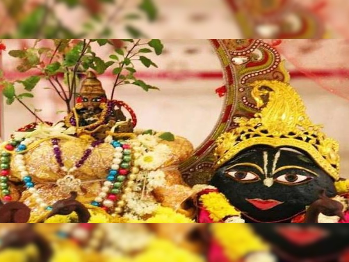 Tulsi Vivah Dev Uthani Ekadashi: देव उठनी एकादशी और तुलसी विवाह के दिन ये करें उपाय, बदल जाएगा भाग्य