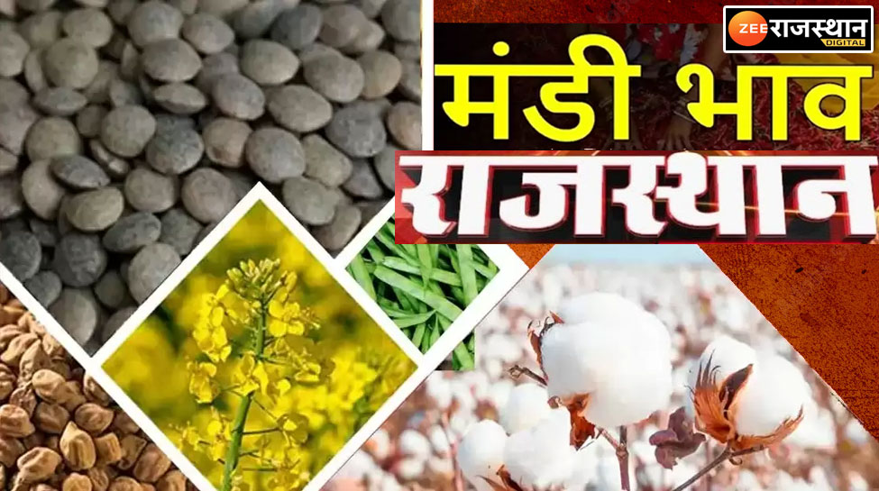 New prices of wheat moong moth narma cotton guar in 8 big mandis of