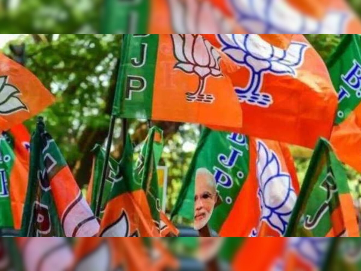 MP Politics: JAYS पर BJP विधायक ने लगाया बड़ा आरोप, जानिए पूरा मामला 