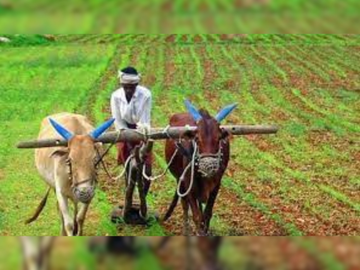 PM Kisan Mandhan Yojana: मोदी सरकार हर महीने देगी तीन हजार रुपये पेंशन, किसानों को करना होगा ये काम