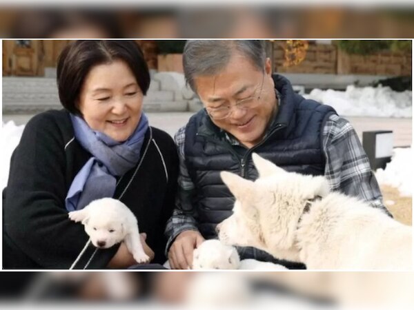 इन्हीं कुत्तों अपने साथ ले आए थे दक्षिण कोरिया के पूर्व राष्ट्रपति मून