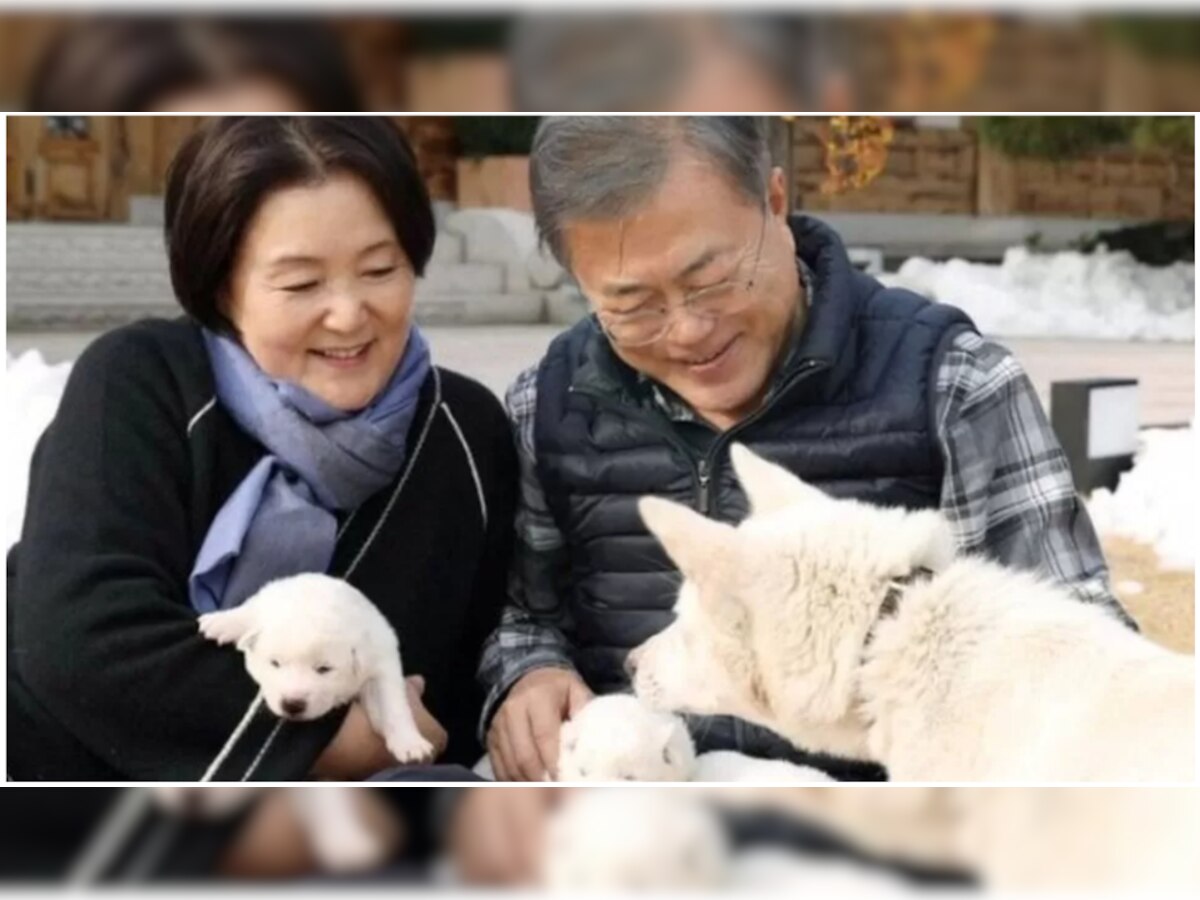 इन्हीं कुत्तों अपने साथ ले आए थे दक्षिण कोरिया के पूर्व राष्ट्रपति मून
