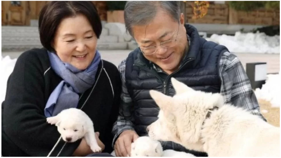 इन्हीं कुत्तों अपने साथ ले आए थे दक्षिण कोरिया के पूर्व राष्ट्रपति मून इन्हीं कुत्तों अपने साथ ले आए थे दक्षिण कोरिया के पूर्व राष्ट्रपति मून