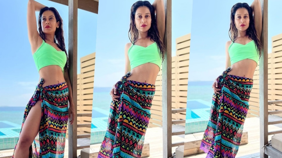 Sexy Payal Rohatgi Bikini Photos Viral On Social Media Bigg Boss Lockupp Contestant Payal