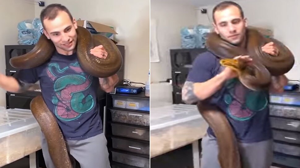 python snake wrapped around neck of man life at high risk shocking ...