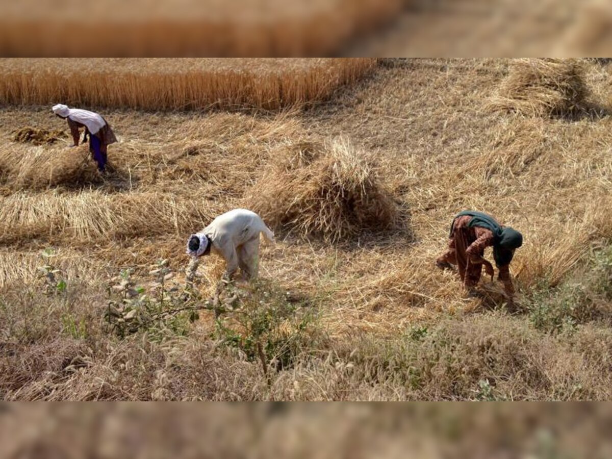 किसान धान बेचने को लेकर अपना पंजीकरण करा चुके हैं.