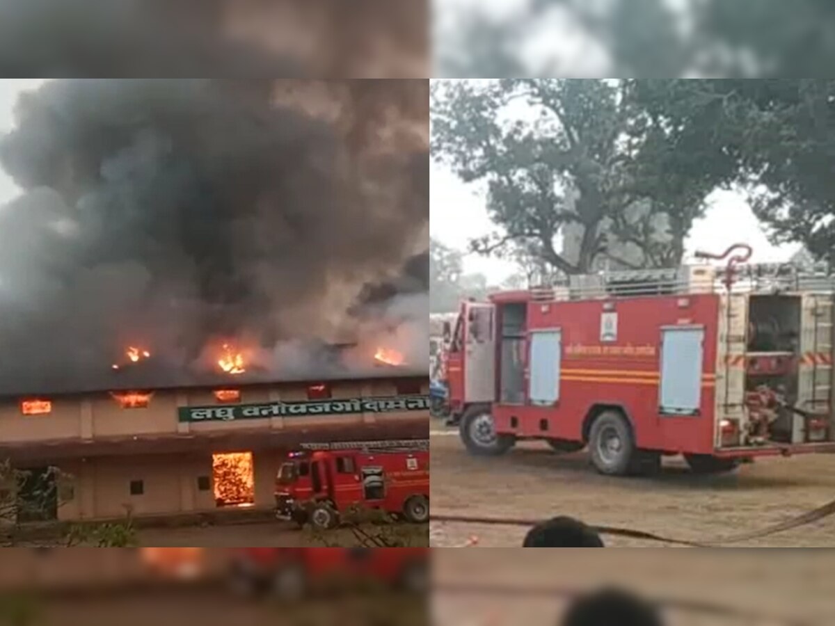 Narayanpur News: आग में जलकर राख हुआ 1.60 करोड़ 'हरा सोना', दमकल की गाड़ियां हुईं फेल