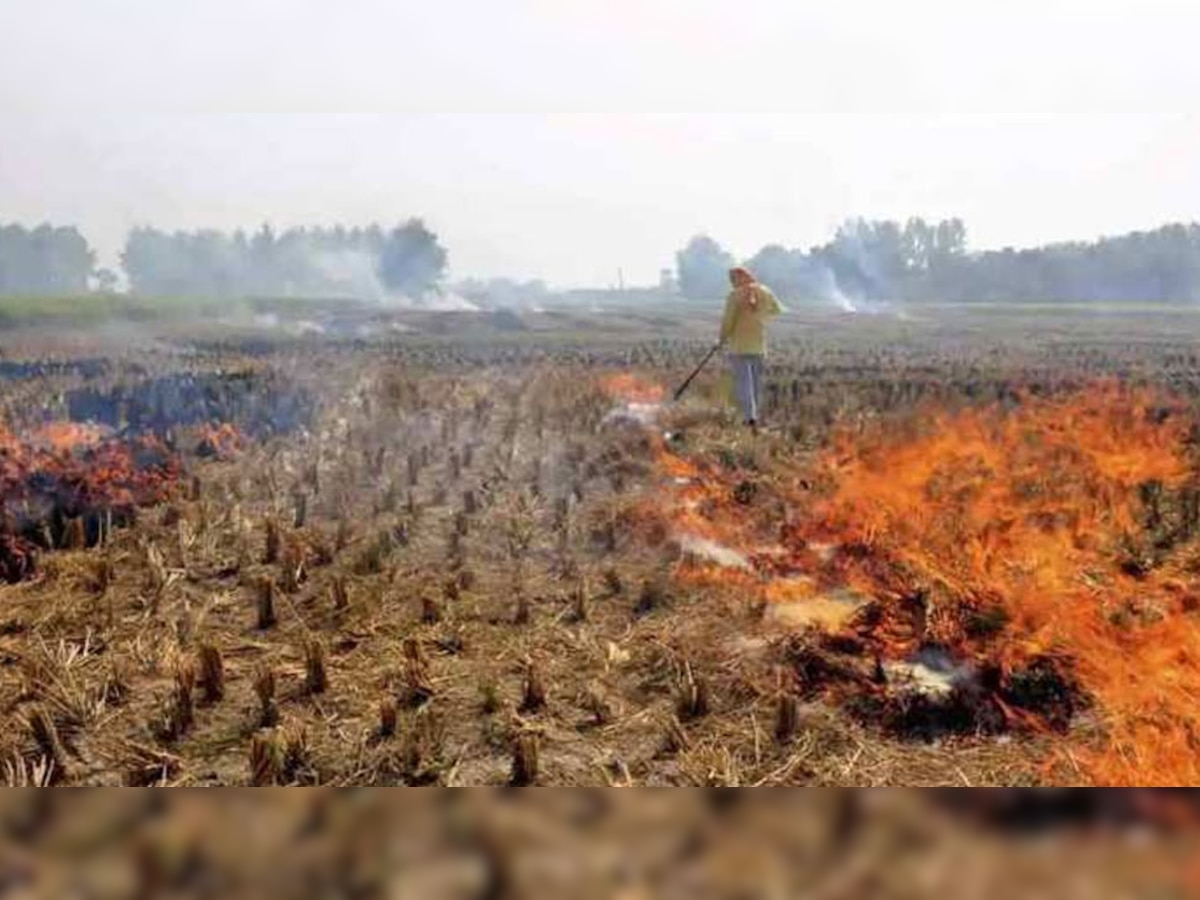 सरकार अब पराली जलाने वाले किसानों के खिलाफ एक्शन लेने के मूड में है.