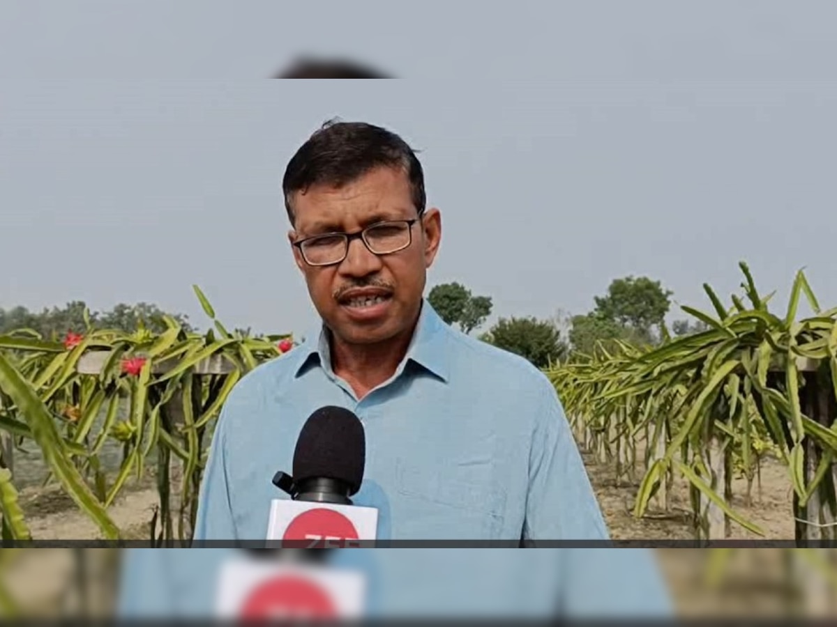 किसान न्यूज: पूर्वांचल का यह किसान ड्रैगन फ्रूट और स्ट्रॉबेरी की खेती से कमा रहा लाखों रुपये, जानें इसके फायदे 