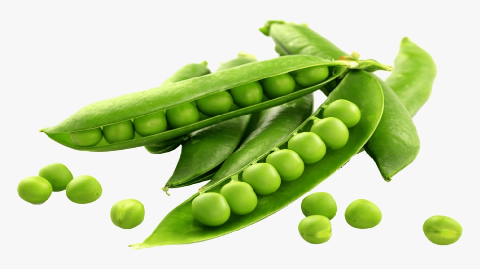 health tips blood sugar level remains under control by eating green pea