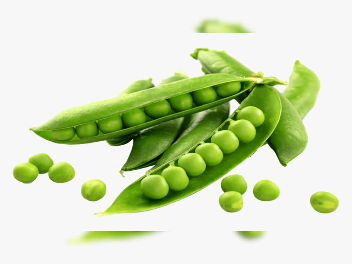 Green Peas: हरी मटर खाने से ब्लड शुगर लेवल रहता है कंट्रोल, इन बीमारिओं से भी मिलता है छुटकारा 